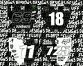 BomboMoto B2 & 72 Mototec front Plate Decal